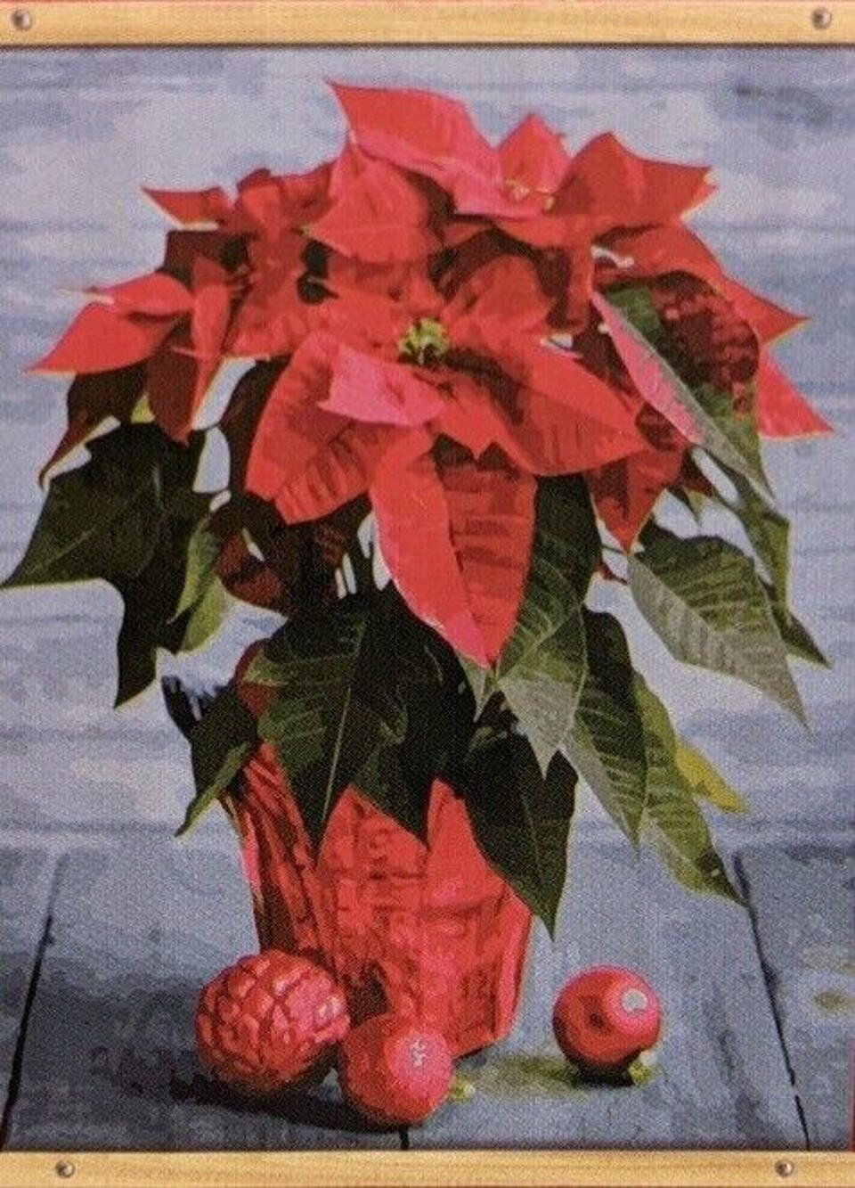 Artist's Loft Paint by Number Kit Christmas Poinsettia 16"x 20" Canvas Gift Art